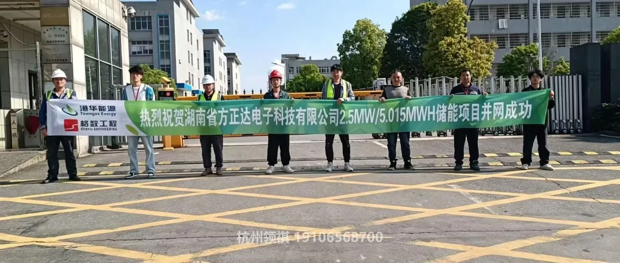 项目并网合影